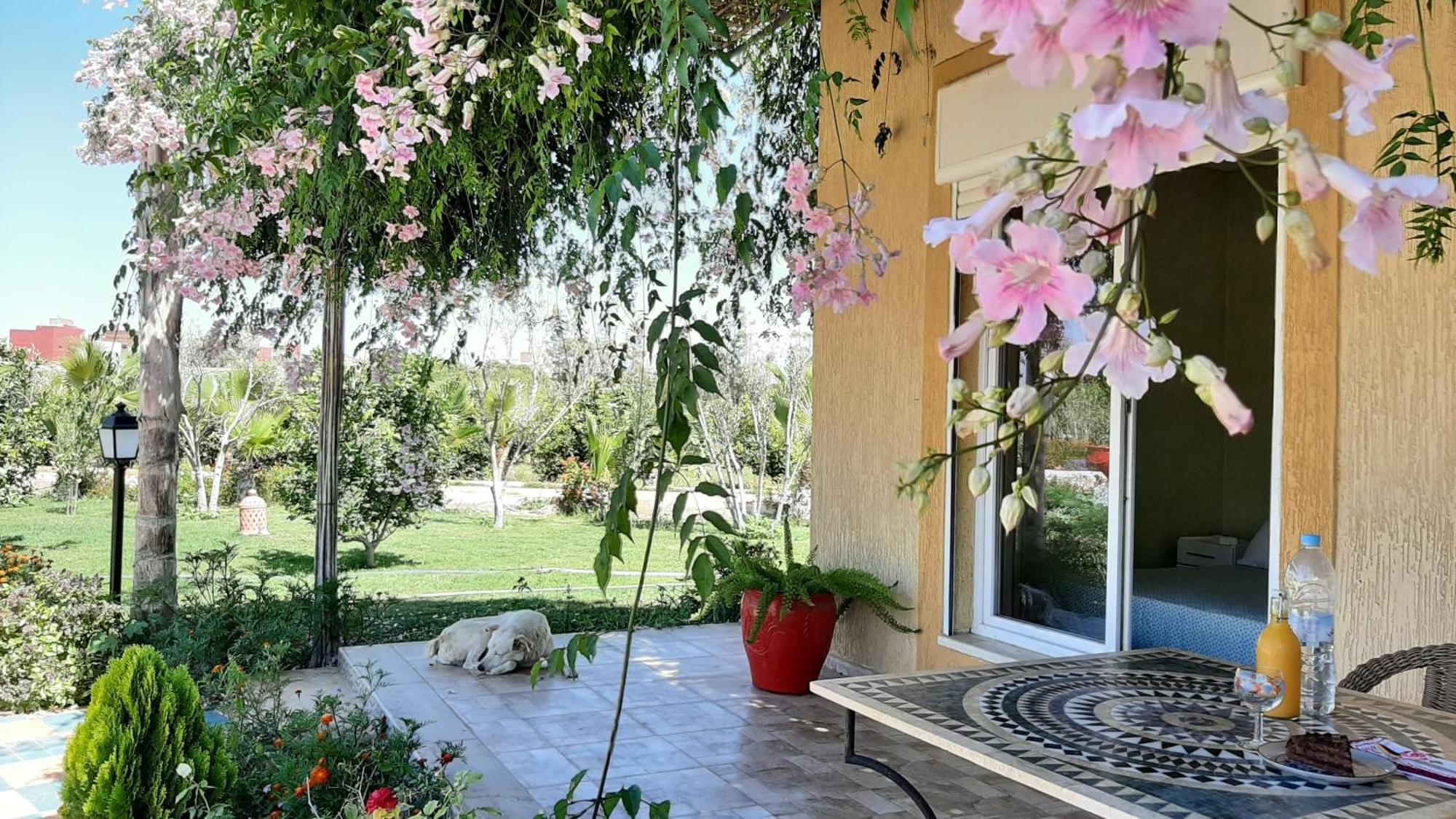 Dar Beynana Hotel Sidi Bibi Phòng bức ảnh
